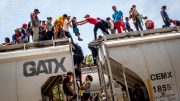 illegals