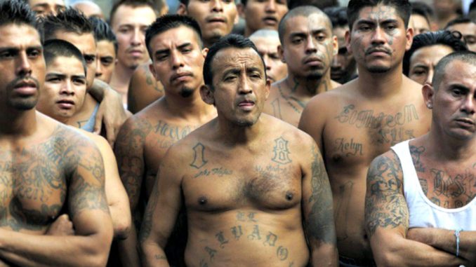 ms13 invaders