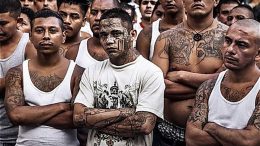 cartels