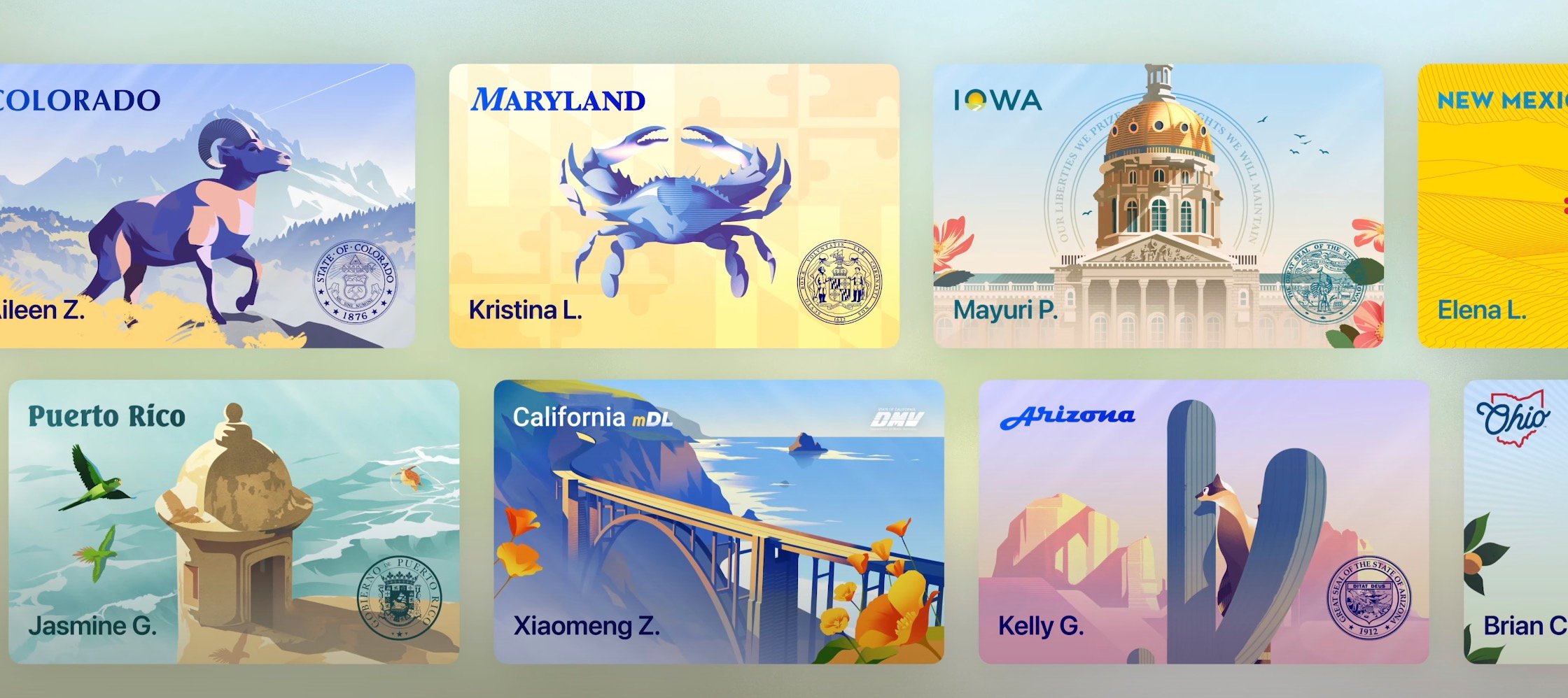 A collage of illustrated state ID cards from Colorado, Maryland, Iowa, New Mexico, Puerto Rico, California, Arizona, and Ohio, each featuring state symbols, landmarks, or nature scenes along with partial names of the cardholders.