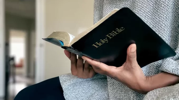 Nearly half of American adults don't believe the Bible is literally true: study