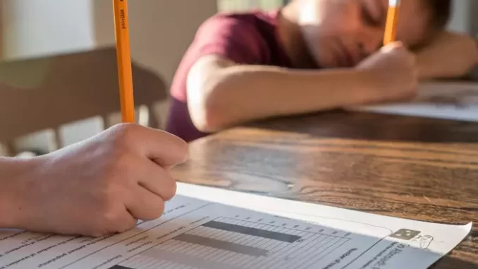 Homeschool mom must enroll son in accredited school