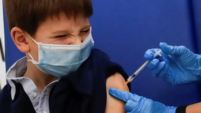 Germany Issues Red Alert: mRNA ‘Vaccines’ Triggered Global Population Implosion