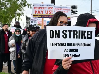 Child Molester Fired From Anti-ICE Union Chapter After Congress Asks Questions