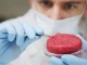 Experts Sound Alarm Over Cancer Risk from Lab-Grown ‘Meat’