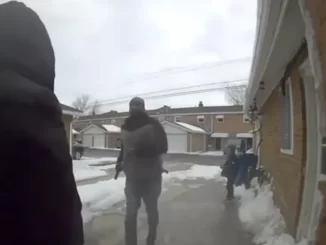 Viral Ring Video Sums Up Soul Of America In Less Than A Minute