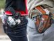 Ninth Circuit Panel Finds California Open Carry Ban Unconstitutional