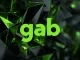 Gab Refuses to Pay Germany’s Fine