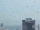 ‘Harbinger of Doom’ Warning Issued as Swarms of Crows Fill Skies Above Israel