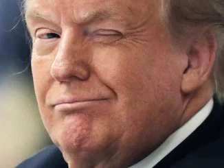 Trump Admin Quietly Registers ‘Aliens.gov’ Domain Ahead of UFO Files Release