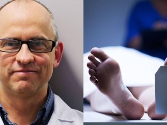 ‘Brainless’ Human Clones for Wealthy Elites