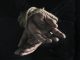 AI driving modern slavery surge