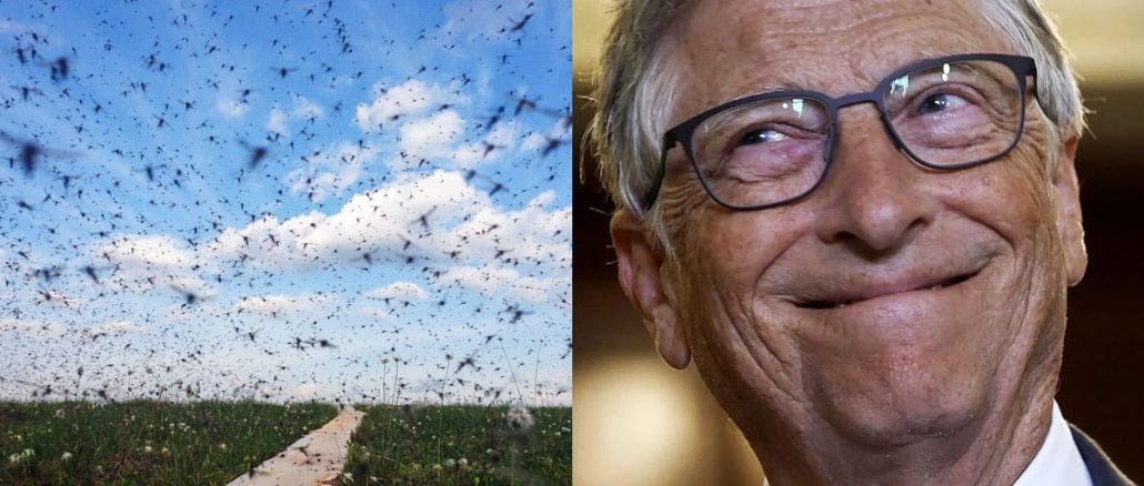 Bill Gates Releases Hundreds of Millions of Bacteria-Infected Mosquitoes Across Colombia