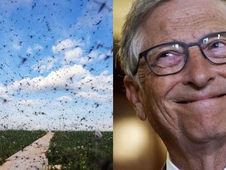 Bill Gates Releases Hundreds of Millions of Bacteria-Infected Mosquitoes Across Colombia