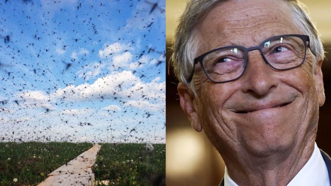 Bill Gates Releases Hundreds of Millions of Bacteria-Infected Mosquitoes Across Colombia