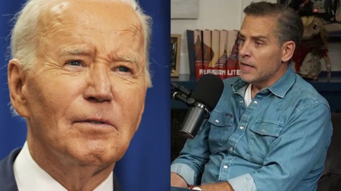 Hunter Biden Claims Israeli Intelligence