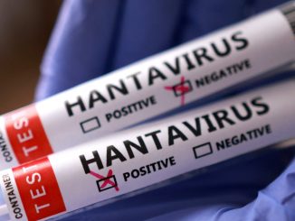 More cases of hantavirus coming