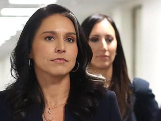 CIA Spied on Gabbard’s Team Investigating Deep State Intelligence Abuses