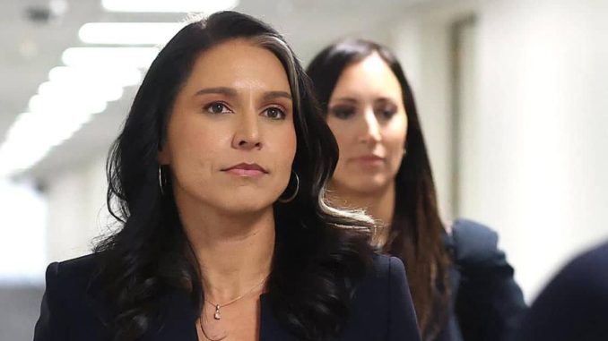 CIA Spied on Gabbard’s Team Investigating Deep State Intelligence Abuses