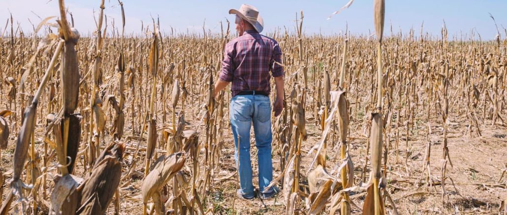 Scientists Warn Unprecedented ‘Godzilla El Niño’ Is Forming, Threatening Global Food Crisis