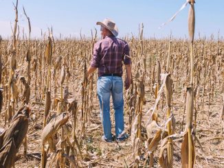 Scientists Warn Unprecedented ‘Godzilla El Niño’ Is Forming, Threatening Global Food Crisis
