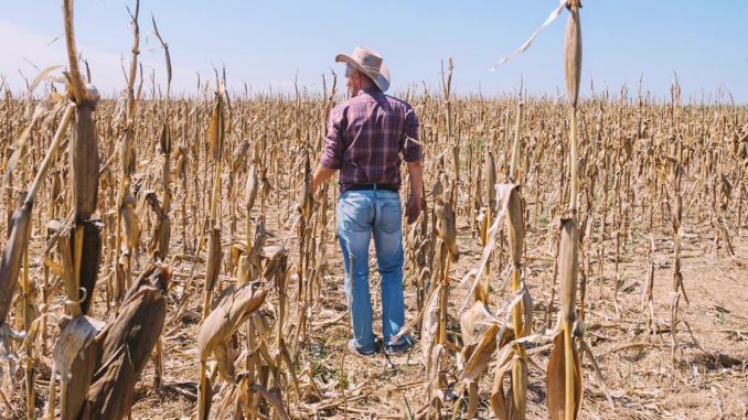 Scientists Warn Unprecedented ‘Godzilla El Niño’ Is Forming, Threatening Global Food Crisis