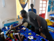 In Nigeria’s Killing Fields, American Charity Reaches Survivors