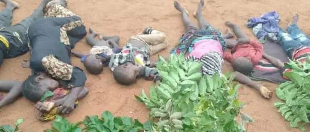 Tinubu Orders Arrest of Militia that Killed 30 Christians Sunday Night