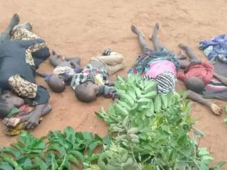 Tinubu Orders Arrest of Militia that Killed 30 Christians Sunday Night