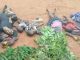Tinubu Orders Arrest of Militia that Killed 30 Christians Sunday Night