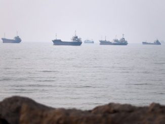 Idle Ships in Strait of Hormuz Could Lead to Bioinvasion