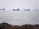 Idle Ships in Strait of Hormuz Could Lead to Bioinvasion