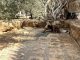 Egypt uncovers lost Byzantine-era city in the western desert
