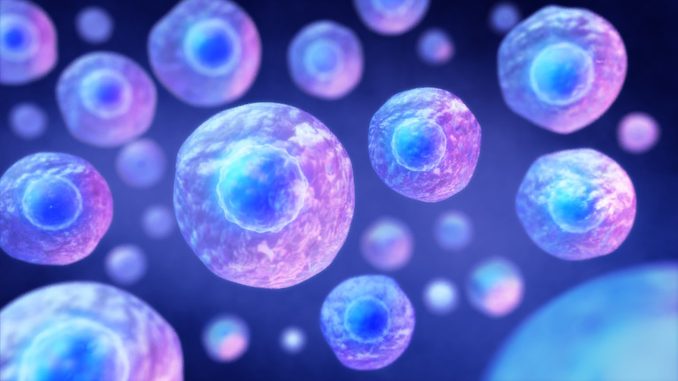 lab-made ‘SpudCell’ has replicated several key functions of living organisms