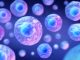 lab-made ‘SpudCell’ has replicated several key functions of living organisms