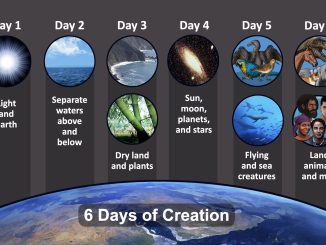 Scientist claims mathematical findings match Genesis Creation account