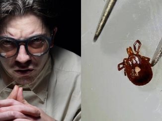 Fears Grow That Rapidly Spreading Meat-Allergy Tick Is Genetically Engineered Bioweapon