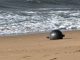 Experts Raise Alarm as Mysterious Metal Orbs Fall from Sky