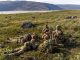 Danish conscripts deployed to Greenland amid Trump threats