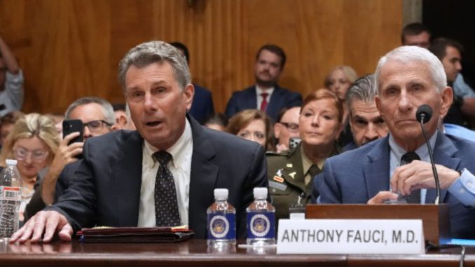 3 GOP States Investigate Fauci