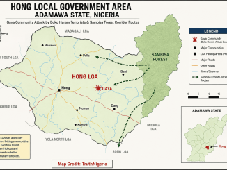 Boko Haram Expands Rural Killings Days After Nigerian Military Claims Security Gains