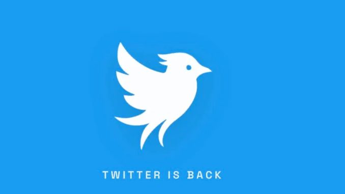 Hold up, there’s a new Twitter in town