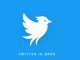 Hold up, there’s a new Twitter in town