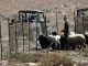 Masked Israeli settlers attack US news crew in West Bank