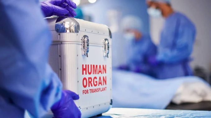 Federal Investigation Finds Organs Harvested from Living Patients