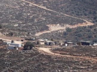Israeli occupiers carry out 14 attacks in West Bank, steal 300 sheep, cut water line