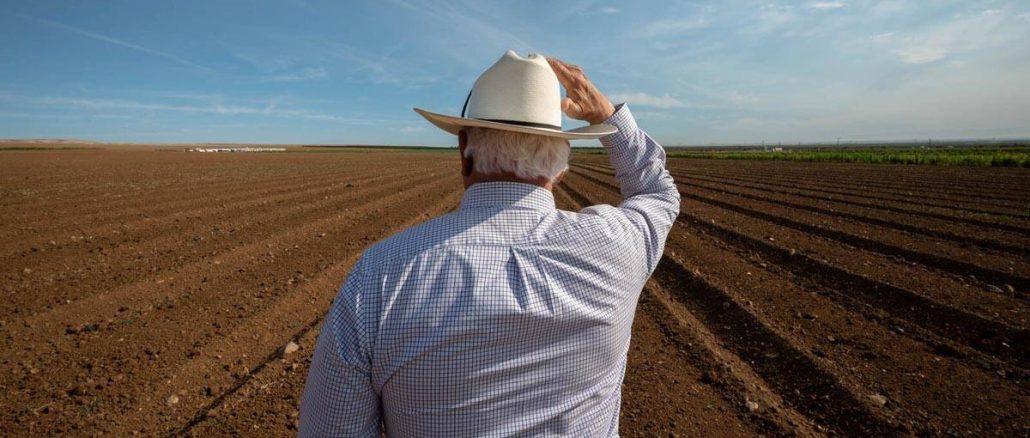 Experts Sound Alarm as ‘Perfect Storm’ Threatens Historic Global Food Crisis