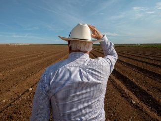 Experts Sound Alarm as ‘Perfect Storm’ Threatens Historic Global Food Crisis