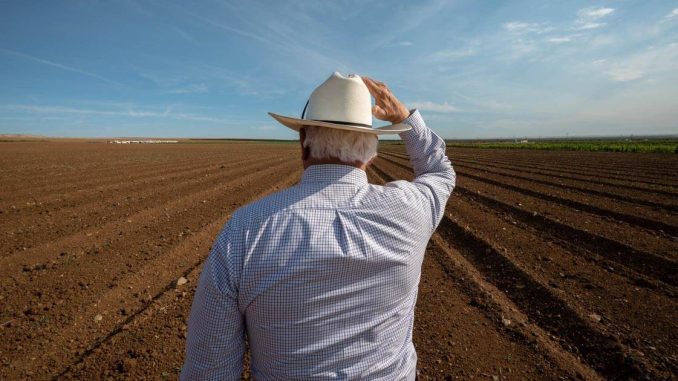 Experts Sound Alarm as ‘Perfect Storm’ Threatens Historic Global Food Crisis