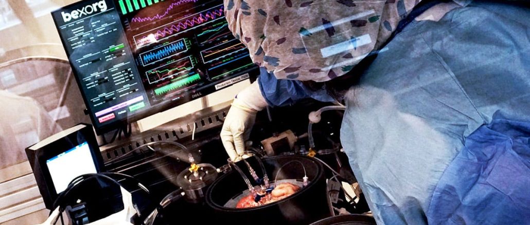 Scientists Unveil ‘Biological Data Center’ Powered by Lab-Grown Human Brain Cells